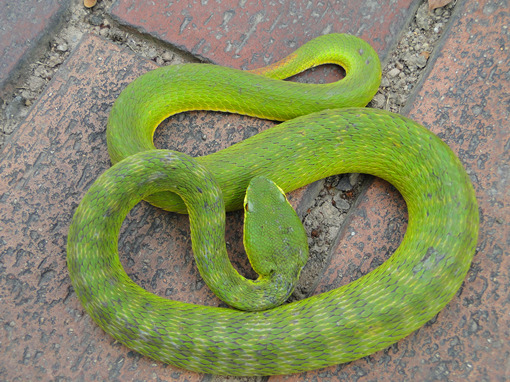 DSC07449_副本.jpg DSC07449_副本.jpg