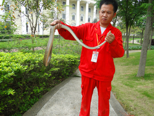 DSC00604_副本.jpg DSC00604_副本.jpg