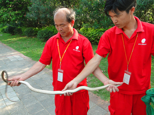 DSC06929_副本.jpg DSC06929_副本.jpg