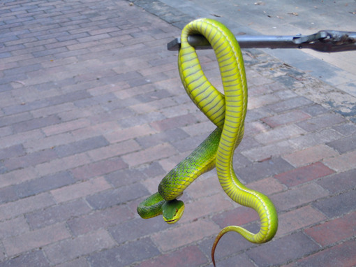 DSC07454_副本.jpg DSC07454_副本.jpg