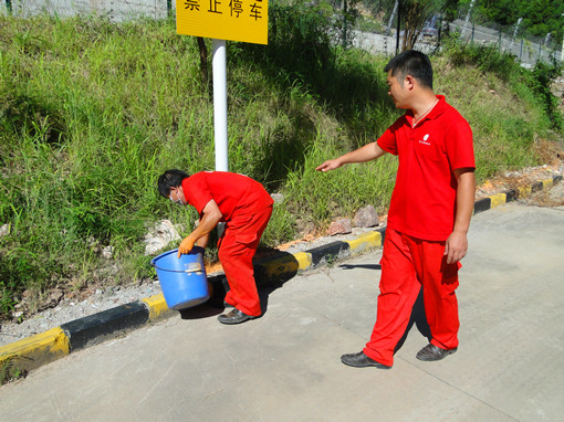 DSC01009_副本.jpg DSC01009_副本.jpg