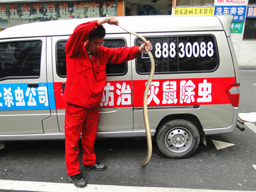 DSC03538_副本.jpg DSC03538_副本.jpg