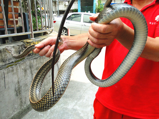 DSC00912_副本.jpg DSC00912_副本.jpg