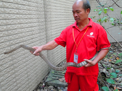 DSC07214_副本.jpg DSC07214_副本.jpg