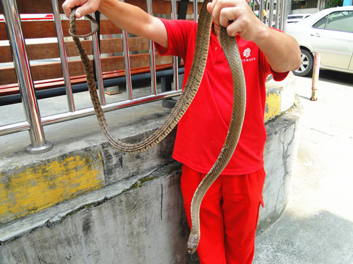 DSC00901_副本.jpg DSC00901_副本.jpg