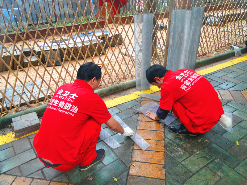 DSC08054_副本.jpg DSC08054_副本.jpg