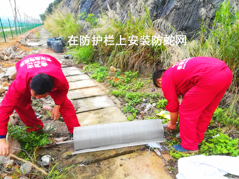 IMG_20190308_135957_副本.jpg IMG_20190308_135957_副本.jpg