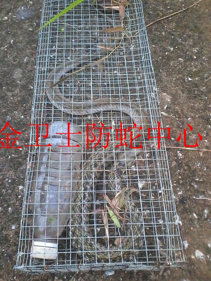 捕蛇�?(5).jpg