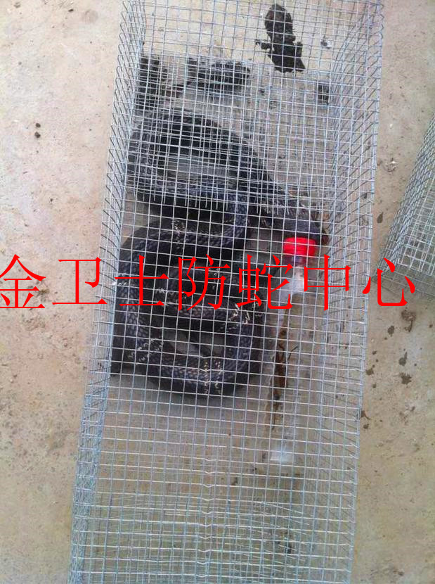 捕蛇�?(7).jpg