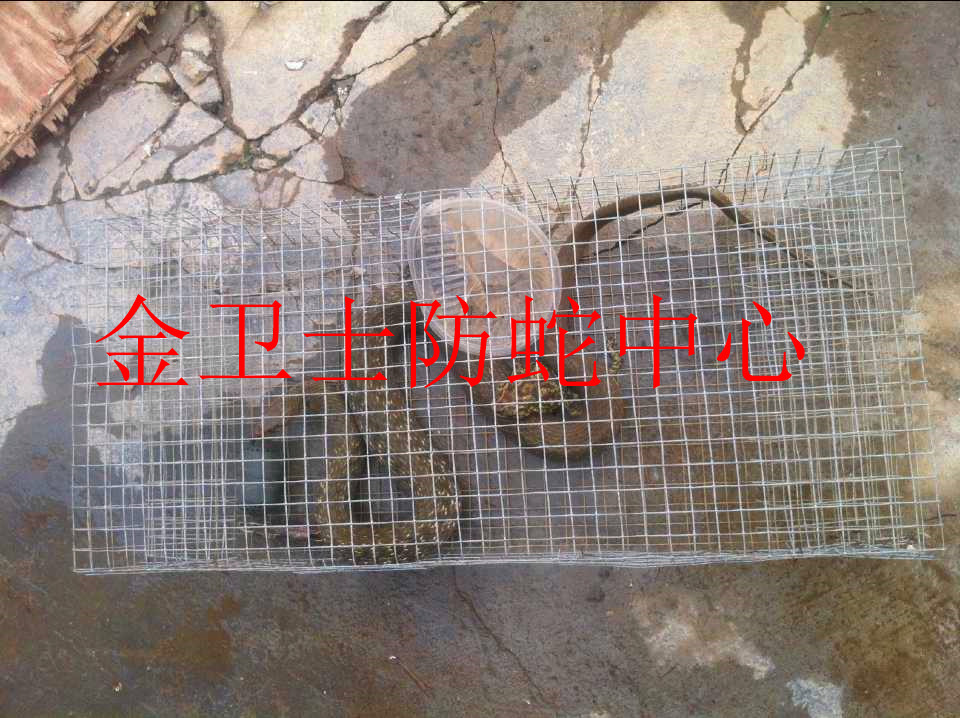 捕蛇�?(11).jpg